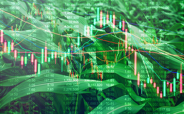 Prices overlay on stocks of corn