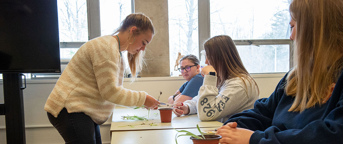 SIU Agricultural Systems and Education works in a classroom 