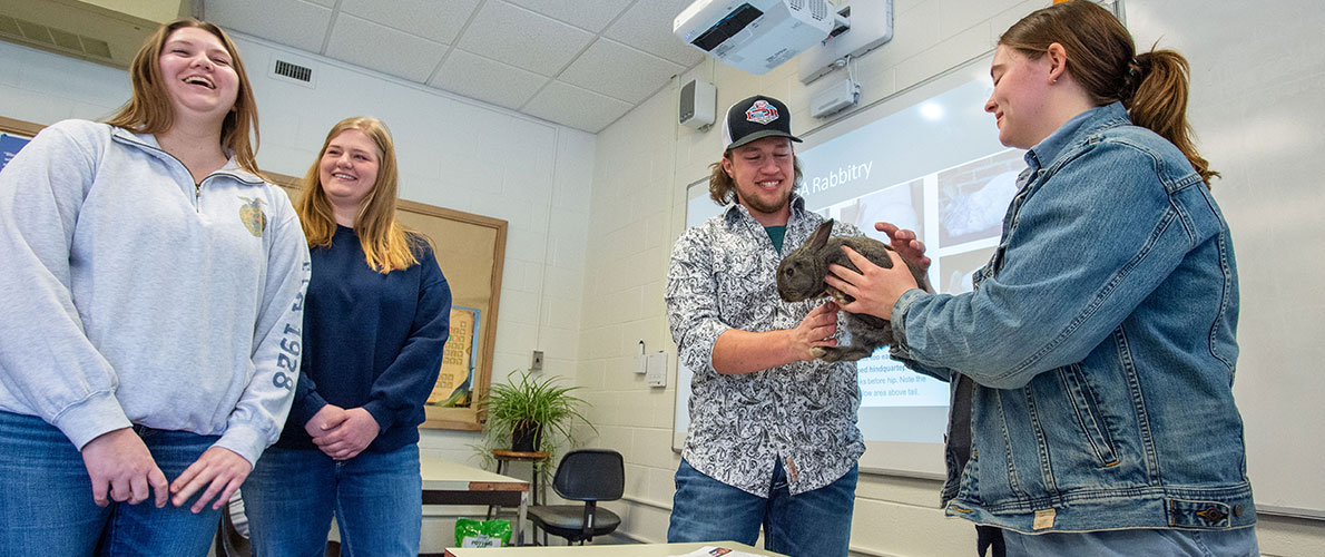Agriculture Systems and Education students interact with a rabbit in a classroom