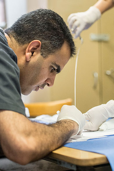 SIU Animal Science students work in labs