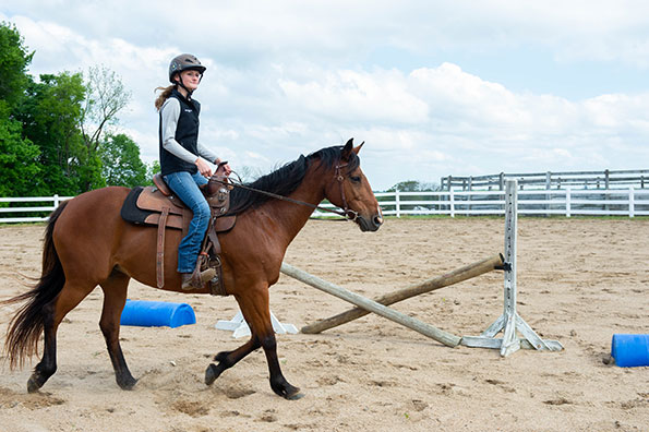 SIU Animal Science Student works with horse on obstacles