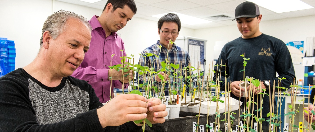 SIU plant genetics students and faculty
