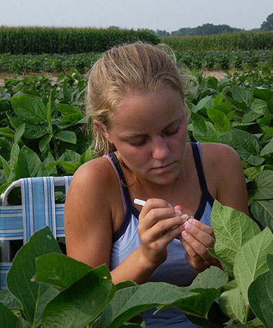 SIU Crop and Soil Student looks at plants in field