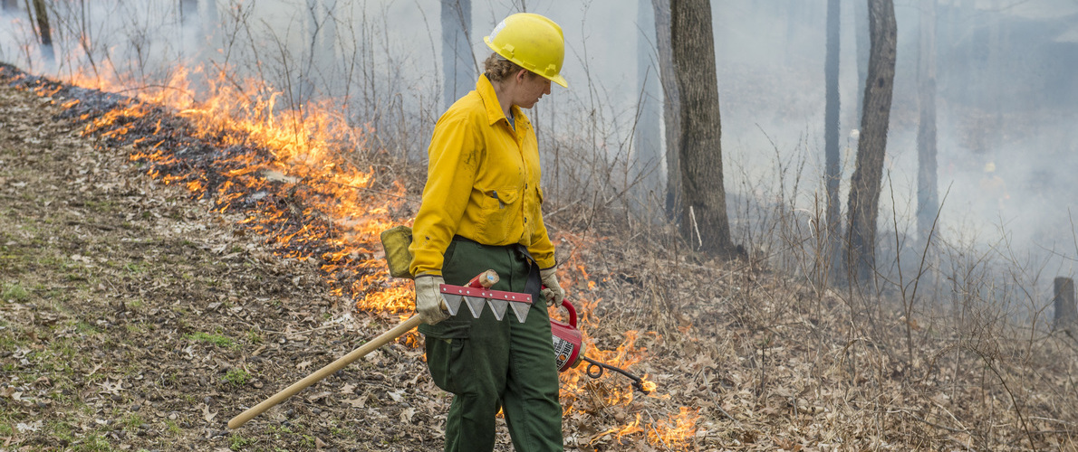 SIU Forestry Fire Dawg Burn