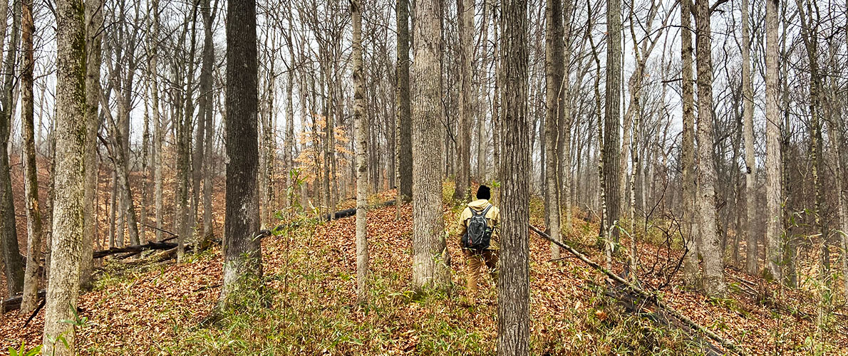SIU Forestry Student Hiking in the Forest