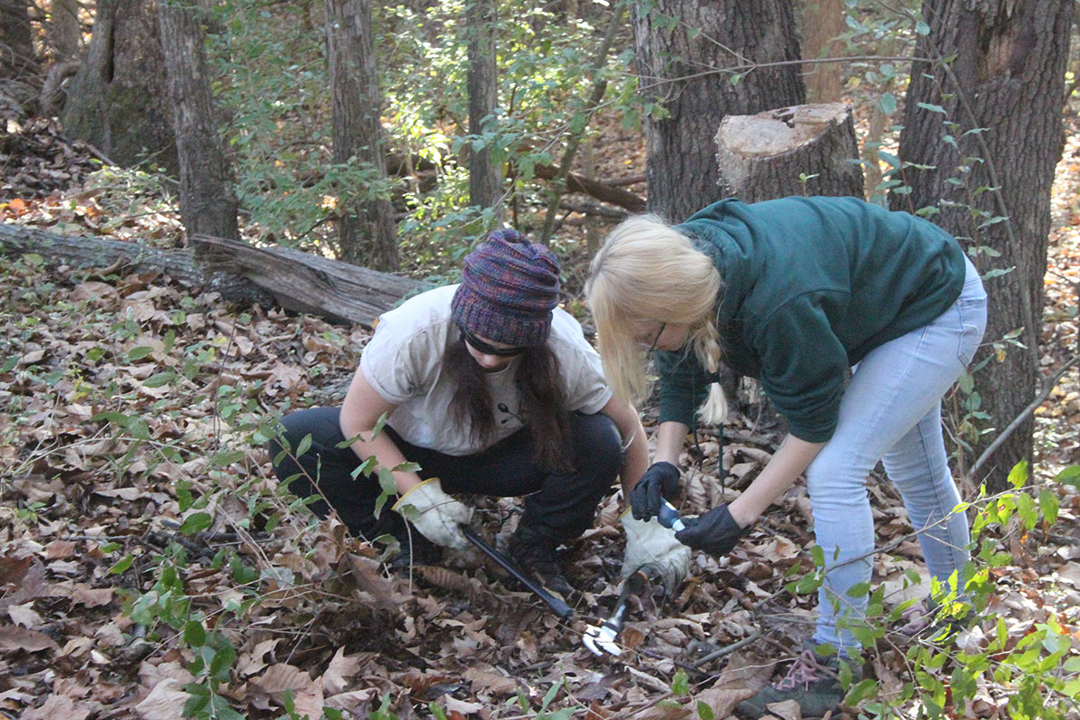 students clearing brush together