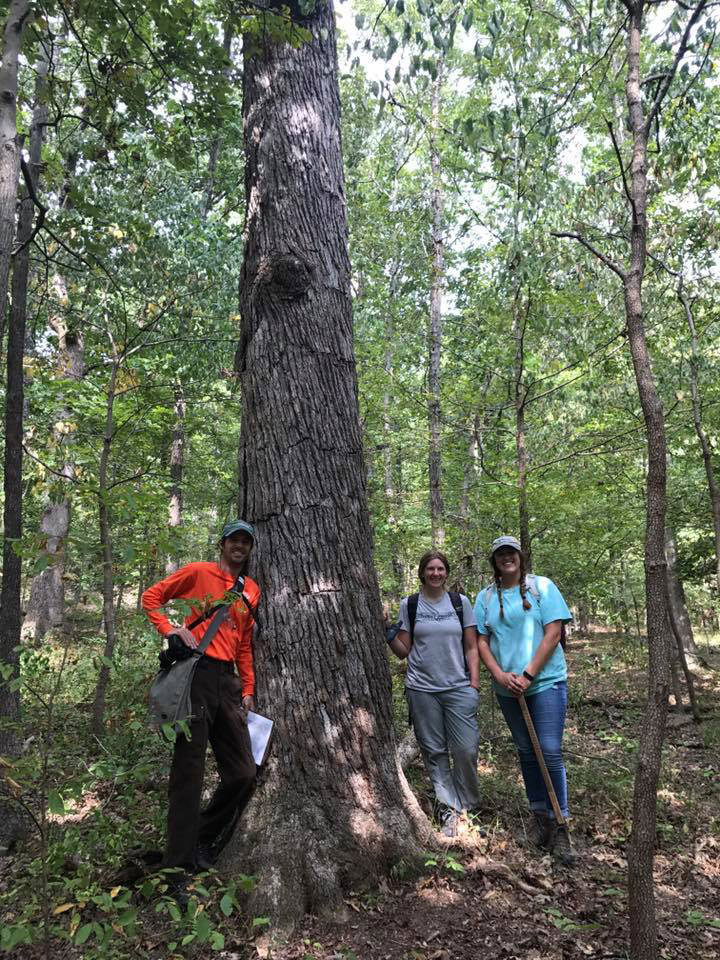 student tree trunk field work