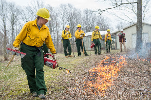 SIU forestry students conducting a prescribed burn
