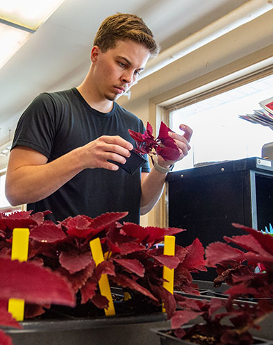 SIU students in floral greenhouse