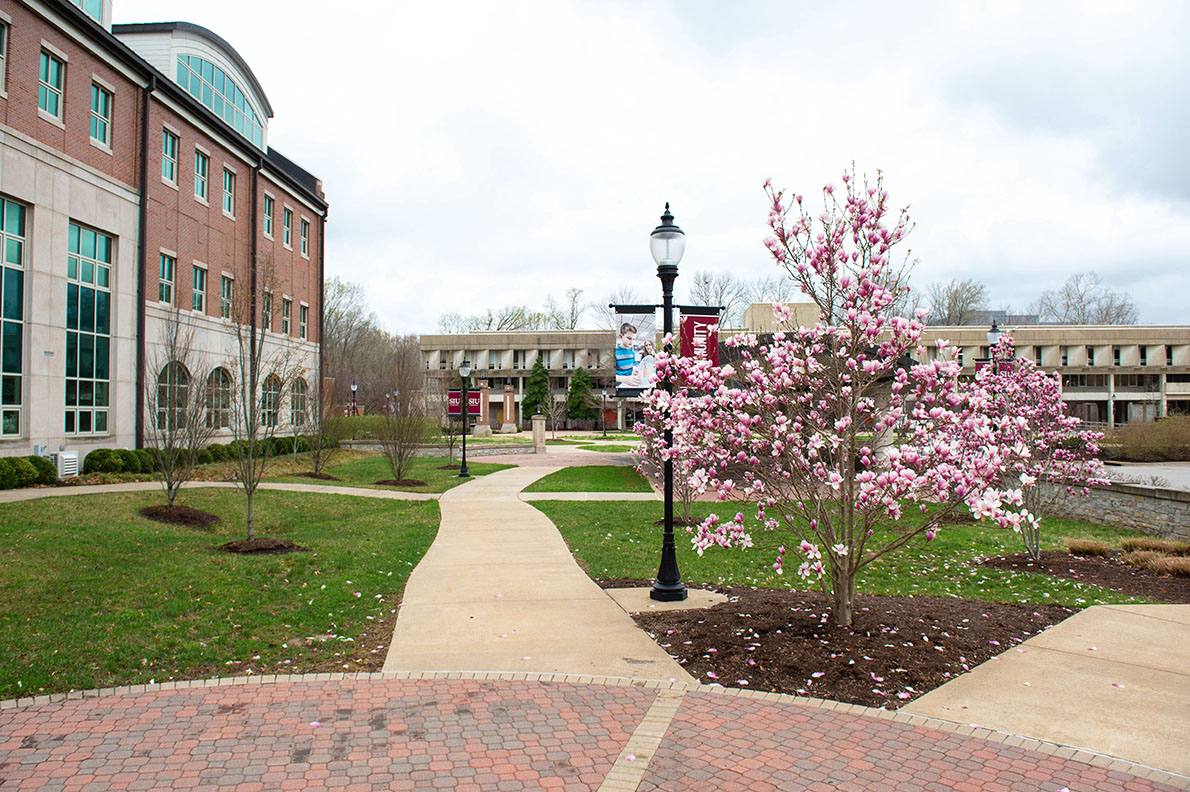 SIU campus during spring