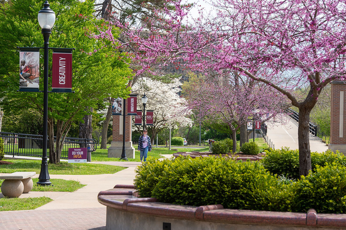 SIU Campus