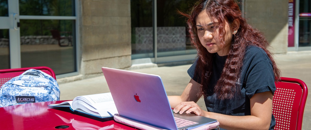SIU student working on Computer