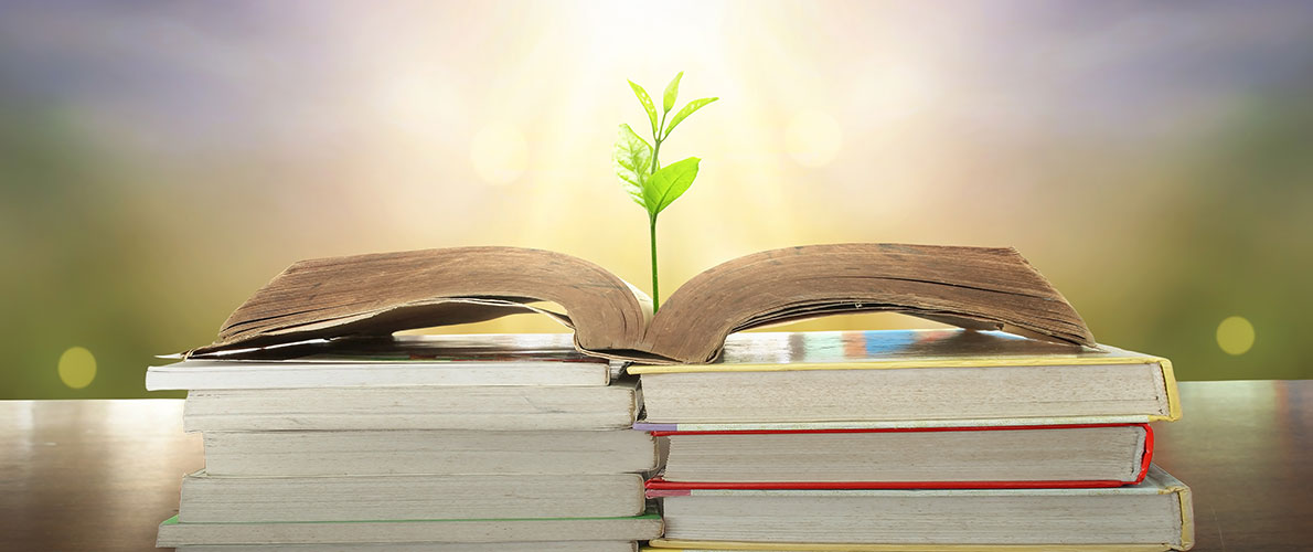 Plant growing out of a book