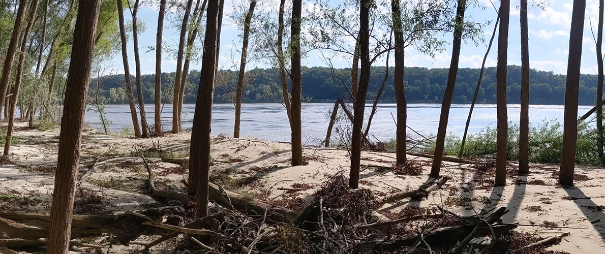 Natural Levee in Southern Illinois