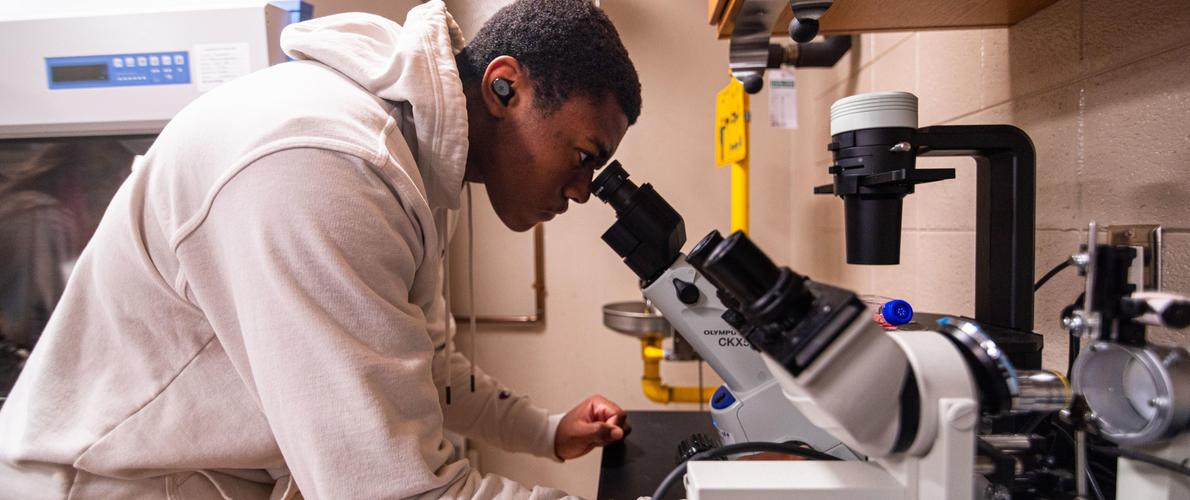 SIU Student works in the Bio Medical Lab