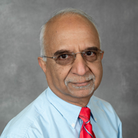 SIU Professor Satya Harpalani