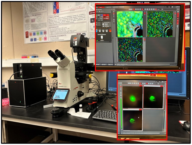 Microscope with samples at SIU  Labs