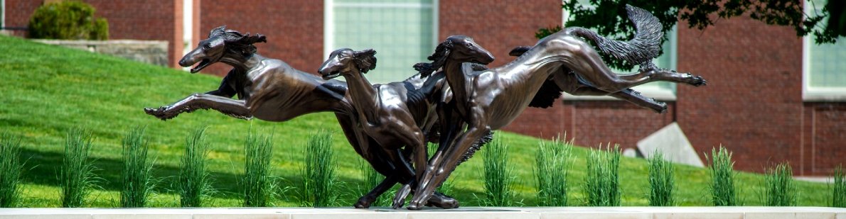 bronze Salukis statue