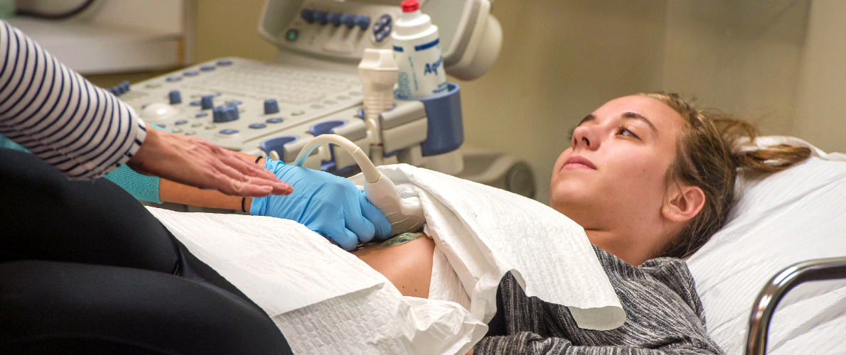 students using ultrasound equipment