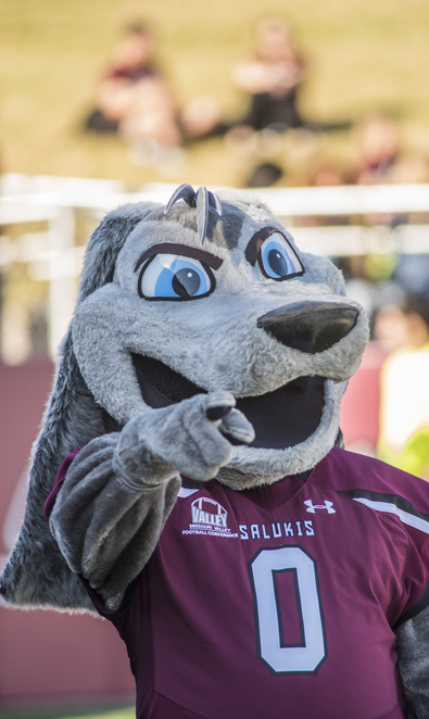 SIU Saluki's Grey Dawg