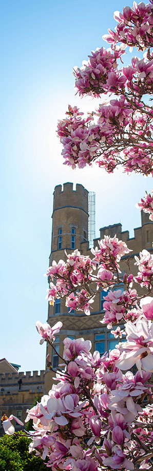 Altgeld Hall 