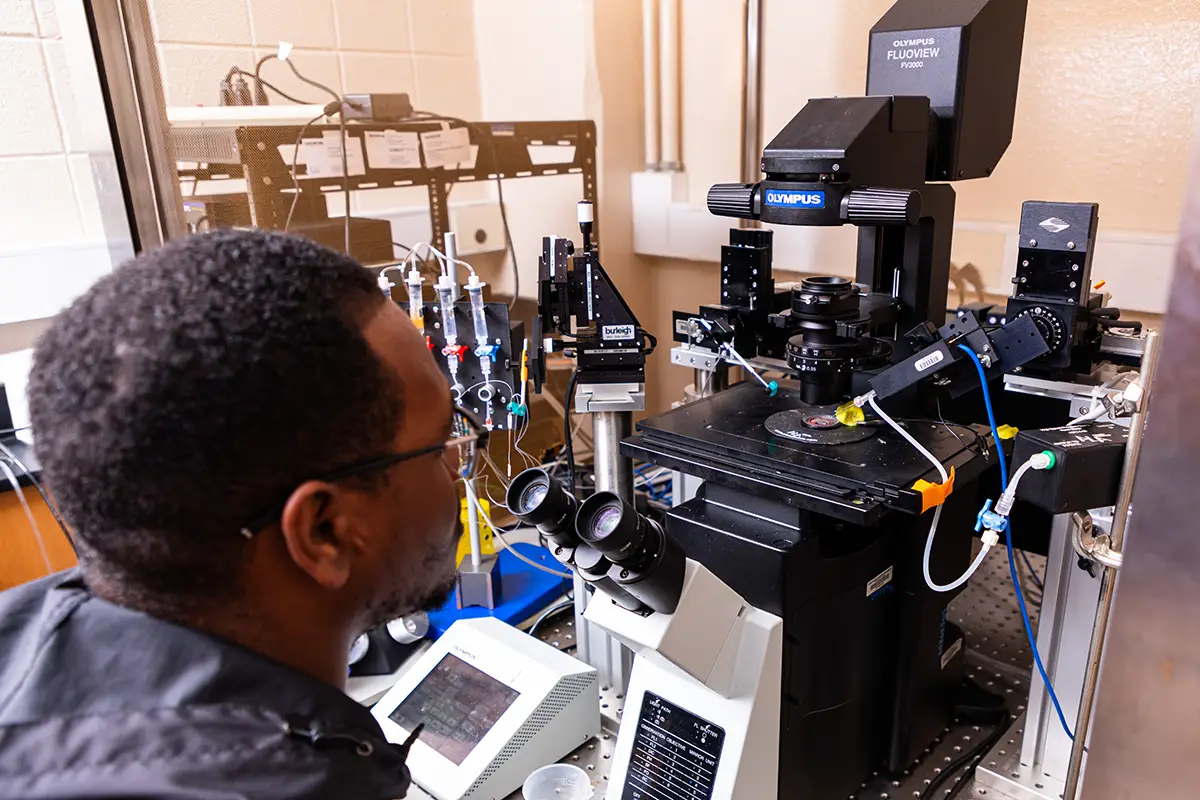 A researcher examines an Olympus FluoView confocal microscope system in a laboratory setting.