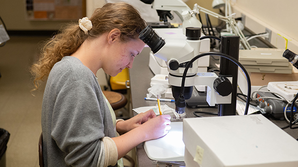 SIU Plant Biology student students samples