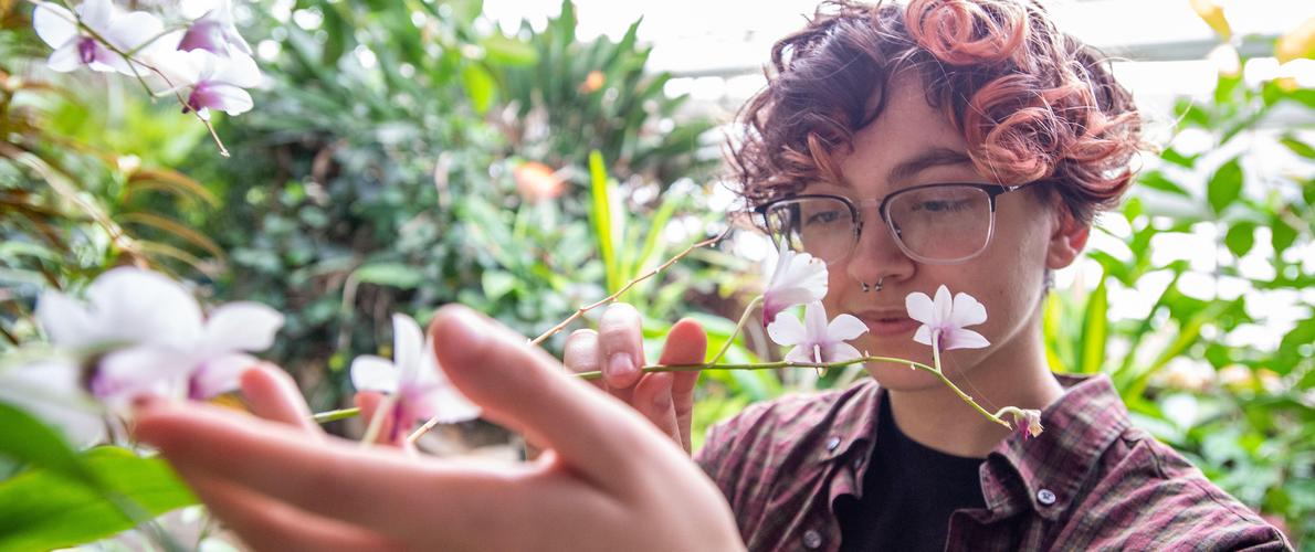 SIU Plant Biology student studies a flower