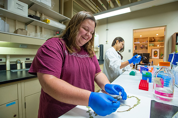 SIU Plant Biology Students work on leaves