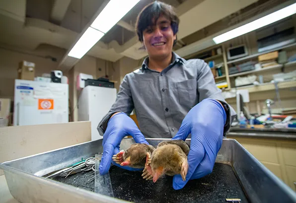 SIU Zoology Student hold research animals 